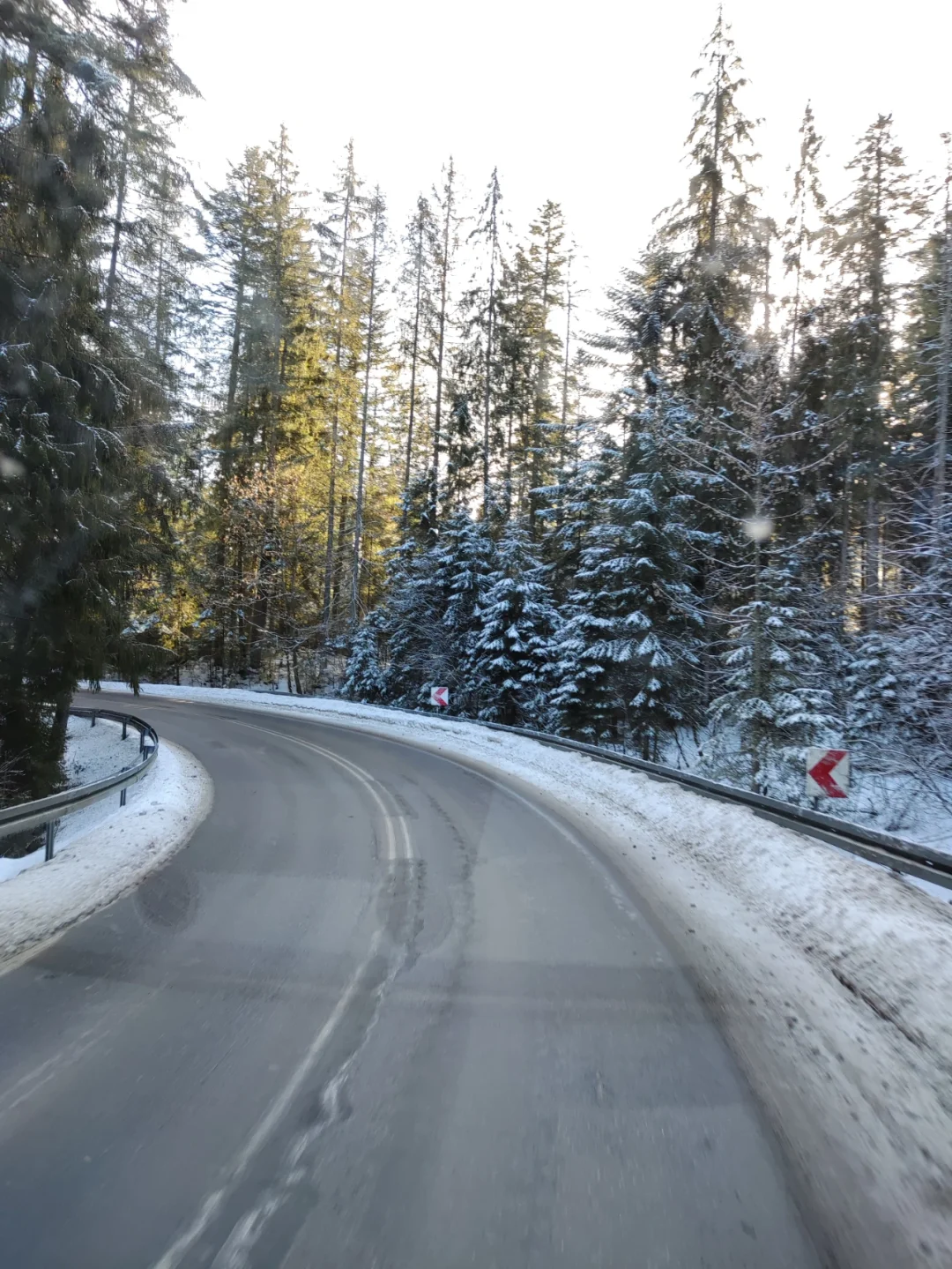 关于波兰遭遇挑战，战平斯洛伐克无法晋级的信息